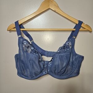 Blue Sheer Floral Bra